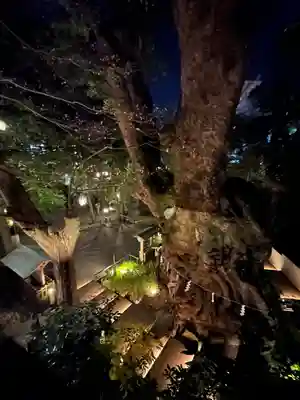 來宮神社(静岡県)