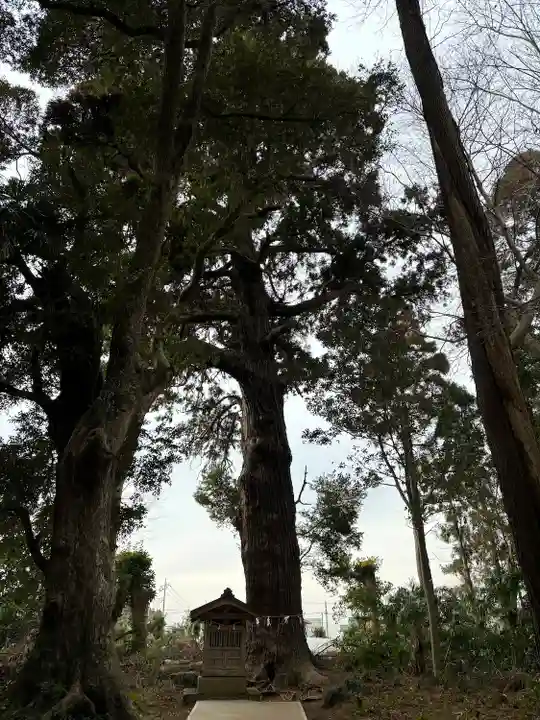 日吉神社(千葉県)