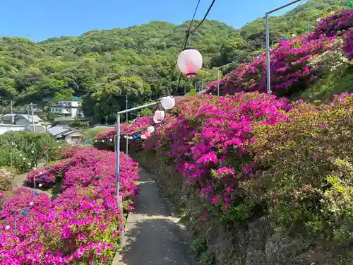 椎宮八幡神社(徳島県)