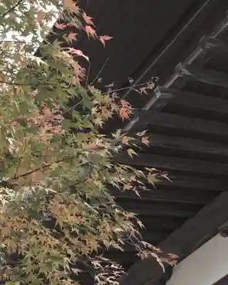 西善寺(埼玉県)