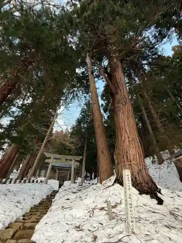 鳥越八幡神社の{uncategorized: "未分類", other: "その他", undefined: "問題あり", building: "その他建物", grave: "お墓", sacred_gate: "鳥居", guardian: "狛犬", statue: "像", buddha: "仏像", history: "歴史", nature: "自然", garden: "庭園", animal: "動物", pagoda: "塔", temizu: "手水舎", mountain_gate: "山門・神門", sanctuary: "本殿・本堂", subordinate: "末社・摂社", art: "芸術", scenery: "景色", jizo: "地蔵", ema: "絵馬", goshuin: "御朱印", omikuji: "おみくじ", items: "授与品その他", amulet: "お守り", goshuincho: "御朱印帳", eats: "食事", festival: "お祭り", votive_dance: "神楽", shichigosan: "七五三参", wedding: "結婚式", experience: "体験その他", initially: "初詣", around: "周辺", anti_infection: "感染症対策"}