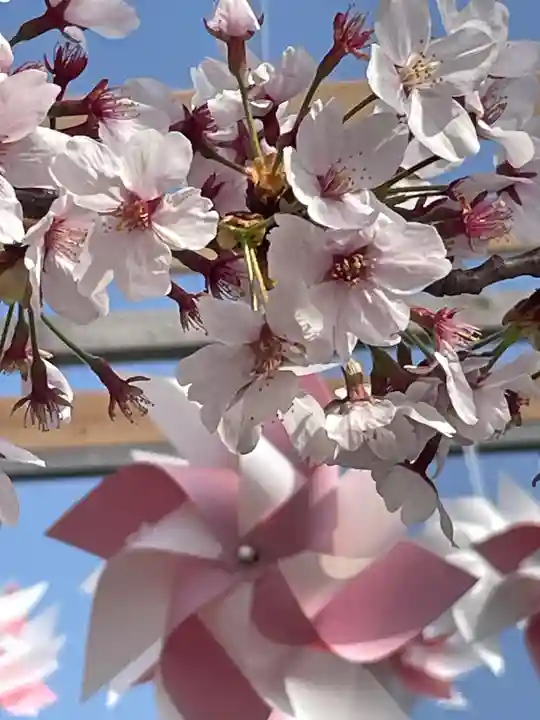 仙台八坂神社(宮城県)