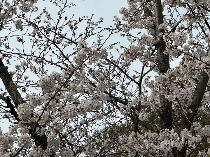 豊山八幡神社(福岡県)