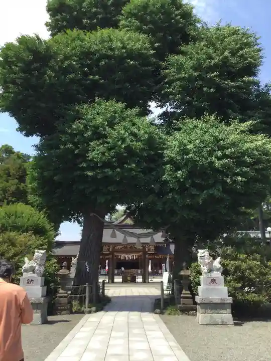 亀ケ池八幡宮の自然