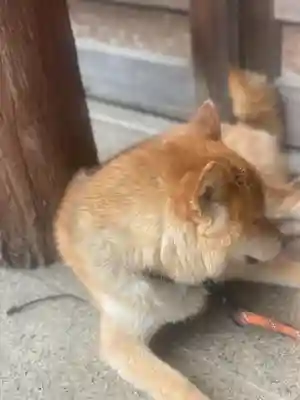 感通寺(東京都)