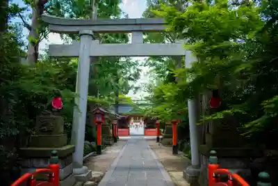 馬橋稲荷神社の鳥居