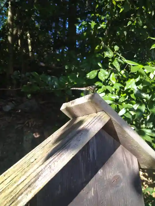 阿智神社の動物