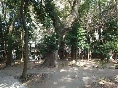 生田神社(兵庫県)