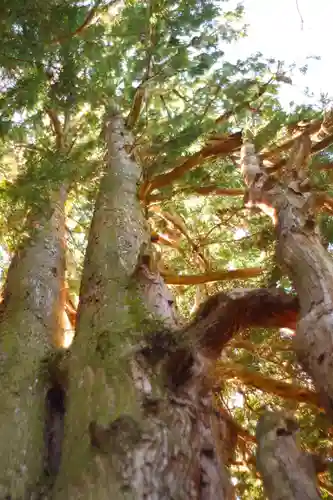 白山比咩神社(石川県)