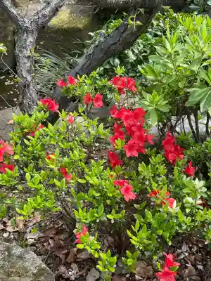 安養院(東京都)