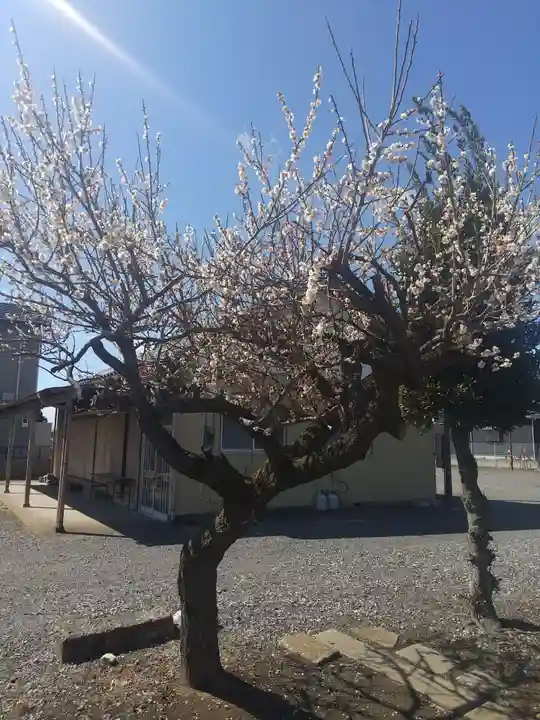 天神社(埼玉県)
