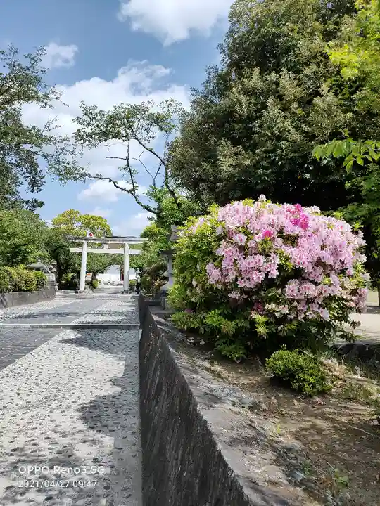 富士山本宮浅間大社のその他建物