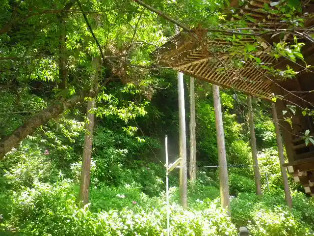 御霊神社の自然