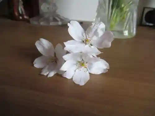 真光寺(千葉県)