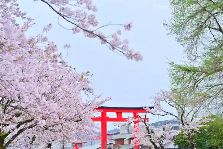 富士山本宮浅間大社(静岡県)