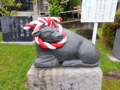 観音寺の狛犬
