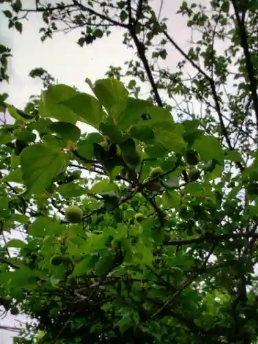 新宿下落合氷川神社(東京都)