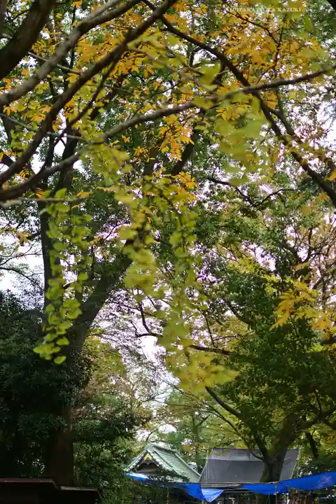 大鷲神社(東京都)