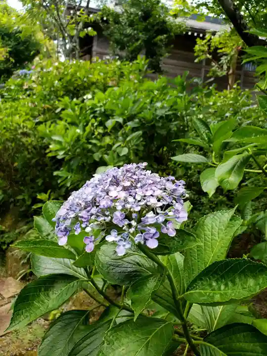 石都々古和気神社(福島県)