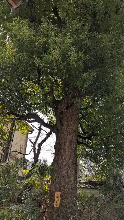 後白河院御聖蹟 法住寺(京都府)