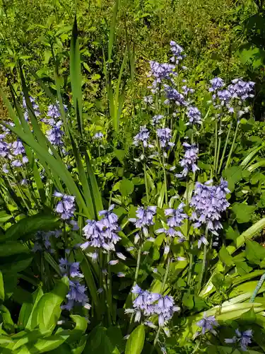 上合寺(福島県)