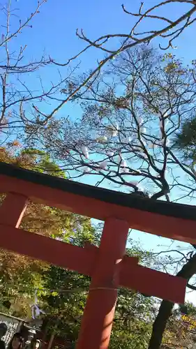 鶴岡八幡宮のその他建物
