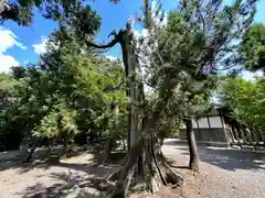 天満神社(奈良県)