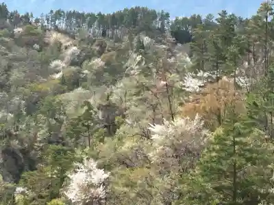 有明樹玉神社の{uncategorized: "未分類", other: "その他", undefined: "問題あり", building: "その他建物", grave: "お墓", sacred_gate: "鳥居", guardian: "狛犬", statue: "像", buddha: "仏像", history: "歴史", nature: "自然", garden: "庭園", animal: "動物", pagoda: "塔", temizu: "手水舎", mountain_gate: "山門・神門", sanctuary: "本殿・本堂", subordinate: "末社・摂社", art: "芸術", scenery: "景色", jizo: "地蔵", ema: "絵馬", goshuin: "御朱印", omikuji: "おみくじ", items: "授与品その他", amulet: "お守り", goshuincho: "御朱印帳", eats: "食事", festival: "お祭り", votive_dance: "神楽", shichigosan: "七五三参", wedding: "結婚式", experience: "体験その他", initially: "初詣", around: "周辺", anti_infection: "感染症対策"}