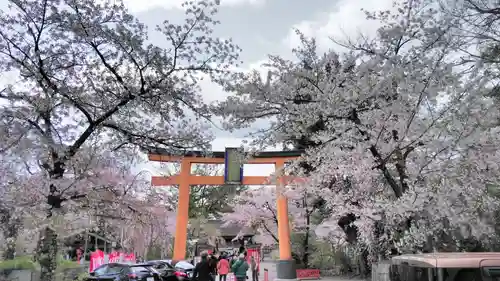 平野神社の鳥居