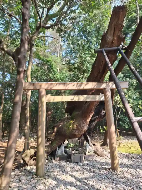 月夜見宮(豊受大神宮別宮)の{uncategorized: "未分類", other: "その他", undefined: "問題あり", building: "その他建物", grave: "お墓", sacred_gate: "鳥居", guardian: "狛犬", statue: "像", buddha: "仏像", history: "歴史", nature: "自然", garden: "庭園", animal: "動物", pagoda: "塔", temizu: "手水舎", mountain_gate: "山門・神門", sanctuary: "本殿・本堂", subordinate: "末社・摂社", art: "芸術", scenery: "景色", jizo: "地蔵", ema: "絵馬", goshuin: "御朱印", omikuji: "おみくじ", items: "授与品その他", amulet: "お守り", goshuincho: "御朱印帳", eats: "食事", festival: "お祭り", votive_dance: "神楽", shichigosan: "七五三参", wedding: "結婚式", experience: "体験その他", initially: "初詣", around: "周辺", anti_infection: "感染症対策"}