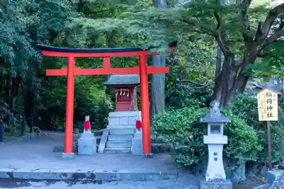 富士山本宮浅間大社(静岡県)