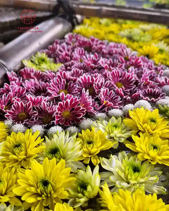 立志神社(滋賀県)