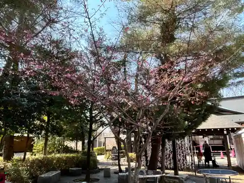櫻木神社(千葉県)