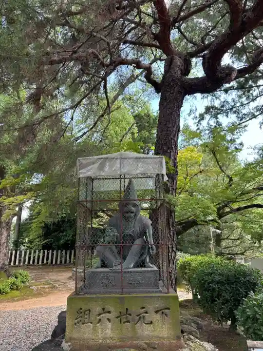 新日吉神宮の狛犬