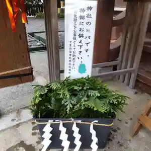 七重浜海津見神社(北海道)(2024年07月31日(水) 09時16分48秒投稿)