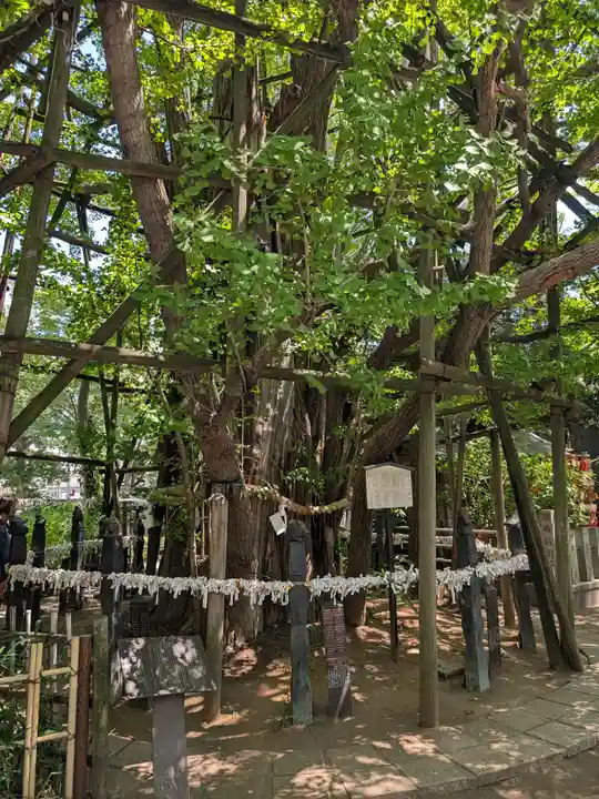 稲毛神社(神奈川県)
