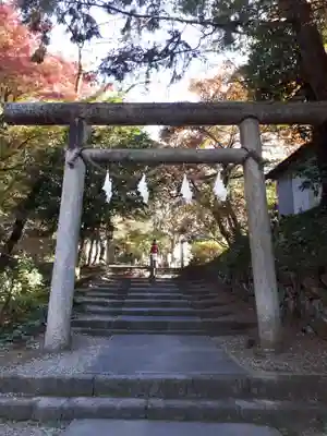 唐澤山神社の鳥居