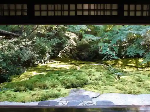 光明寺瑠璃光院の庭園