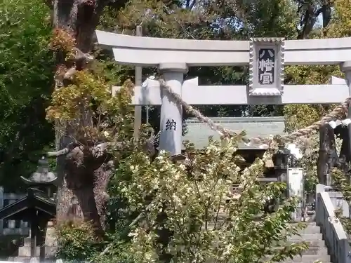 上地八幡宮の鳥居