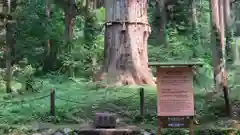 出羽神社(出羽三山神社)～三神合祭殿～の建物その他