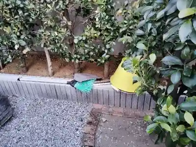 稲荷神社の庭園