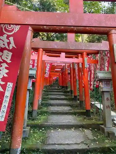 佐助稲荷神社の鳥居