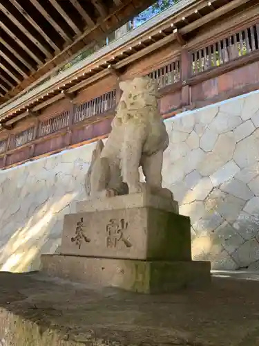 櫻山八幡宮の狛犬