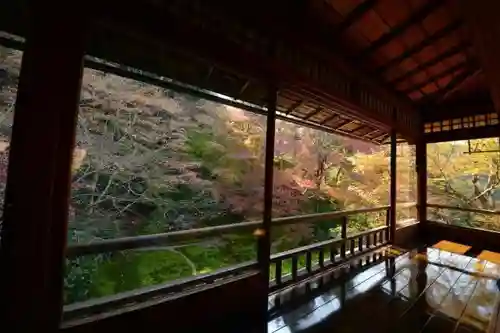 光明寺瑠璃光院の庭園