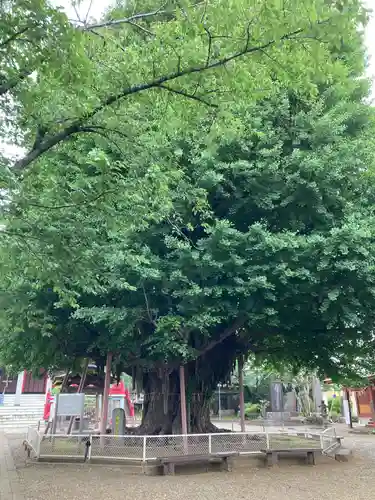 千葉寺(千葉県)