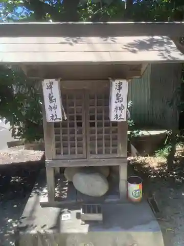 津島神社(樹木)(愛知県)