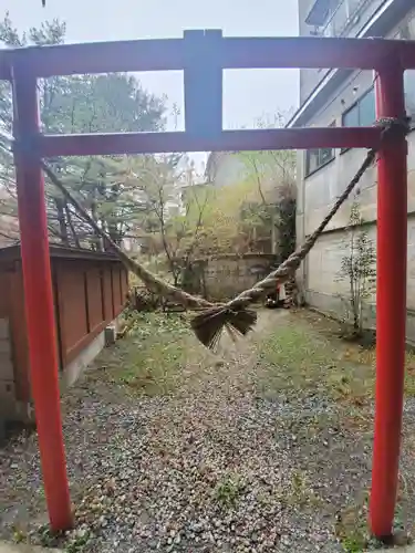 藤乃稲荷神社の鳥居