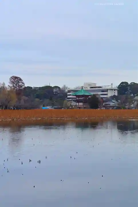 寛永寺不忍池弁天堂の景色