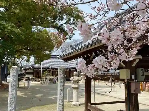 許麻神社(大阪府)