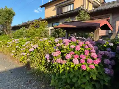 長善院(千葉県)